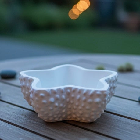Concrete Star Jar